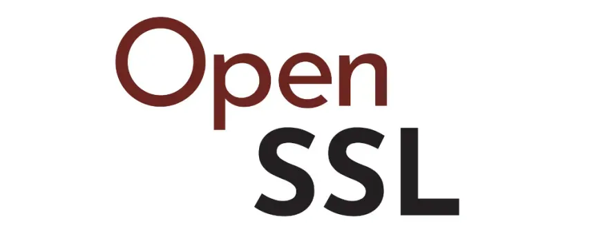 OpenSSL HollowByte Flaw Lets 11-Byte TLS Requests Exhaust Server Memory