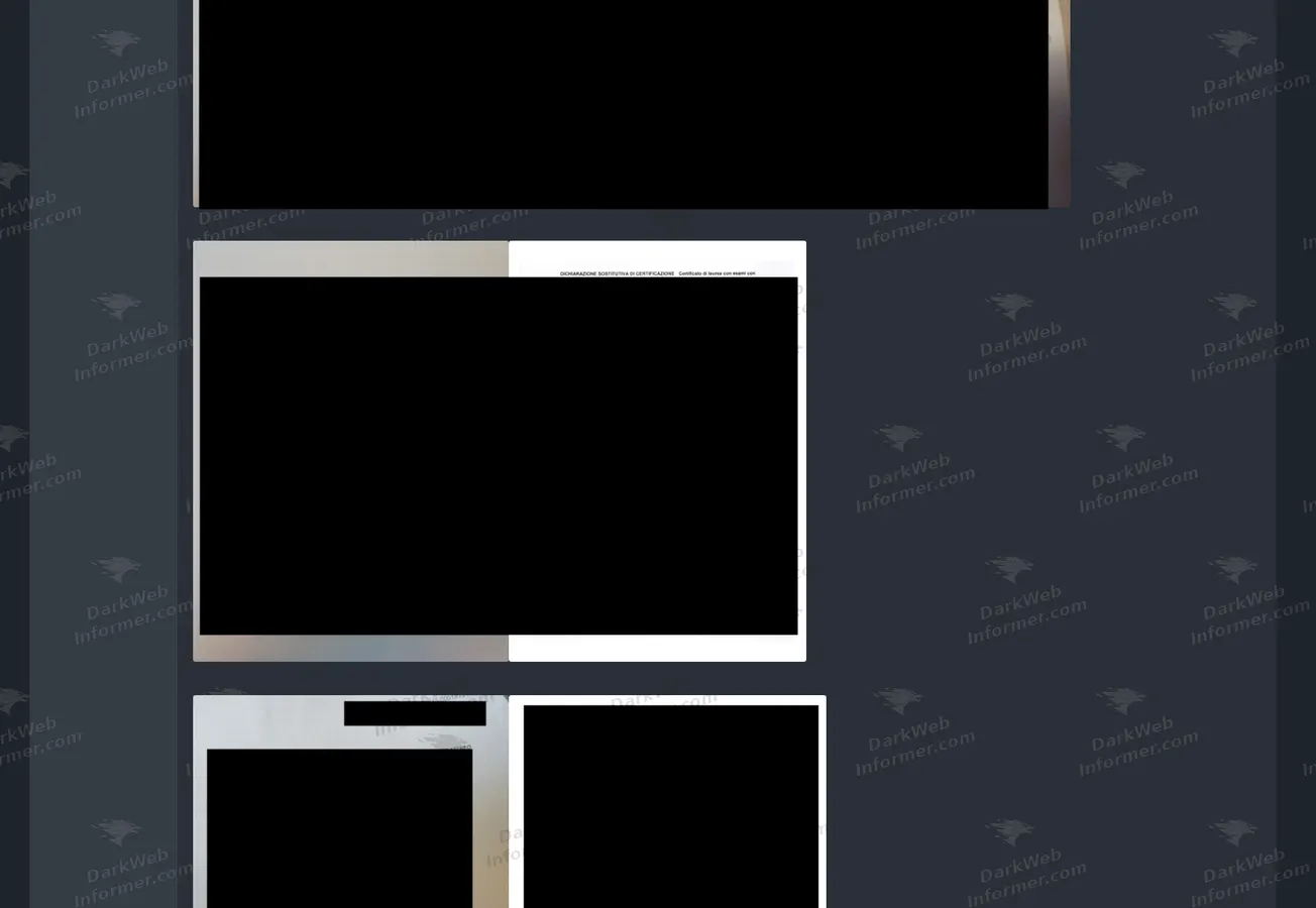 Additional sample documents included in the listing, shown redacted