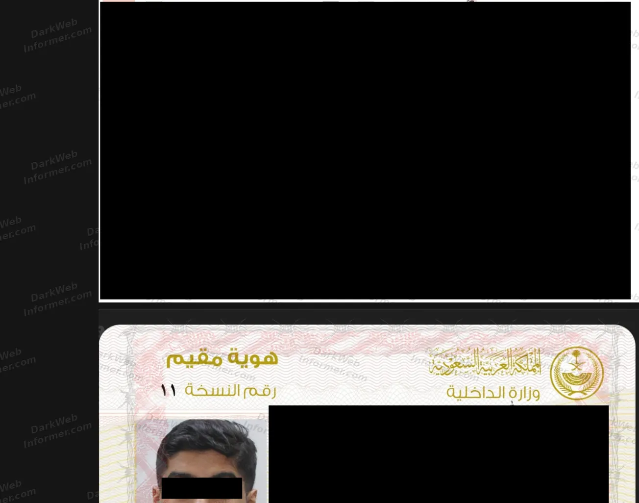 Identity document thumbnail gallery and the upper portion of an identity card sample