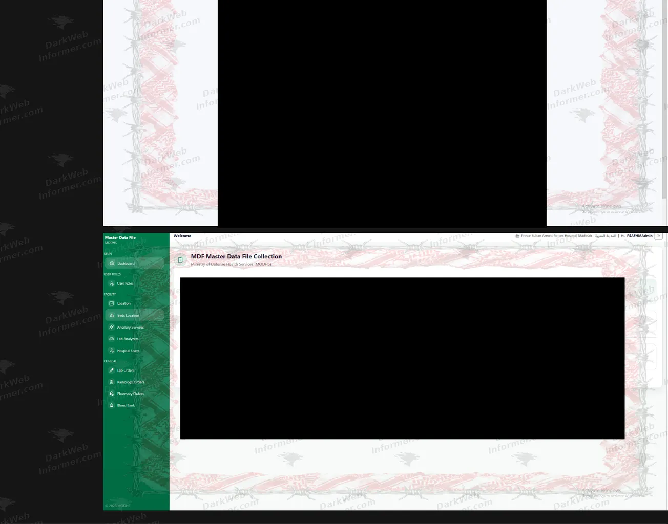 Continuation of a hospital administration dashboard and a master data portal sample