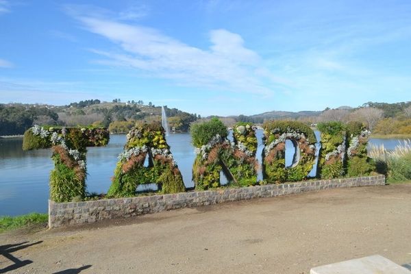 Tandil suma un proyecto comercial que busca captar inversión con lógica de renta