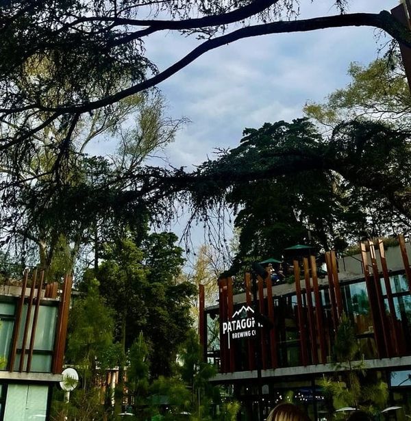 El barrio del oeste que se convirtió en el nuevo Palermo: ya hay 10 edificios en construcción