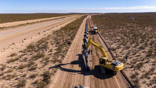 Neuquén no para: cómo Vaca Muerta está empujando el mercado inmobiliario