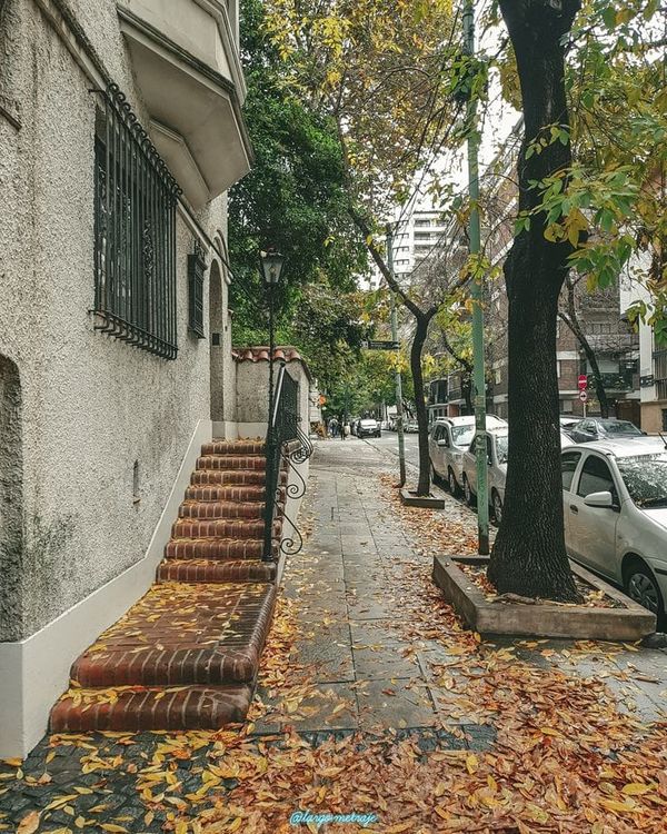 Saavedra, Parque Avellaneda y Villa Real: los barrios que más subieron en el último año