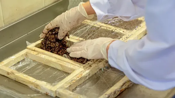 Restos de vid y hongos: el invento mendocino que puede cambiar la construcción