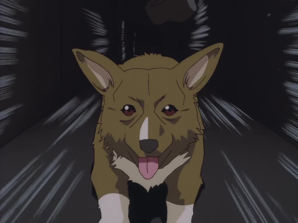 Important to note: This is a dog. (Credit: Wowow)