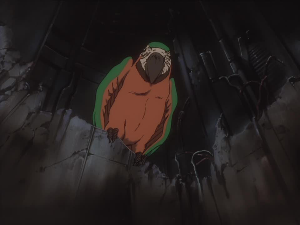 See you, Space Parrot. (Credit: TV Tokyo)