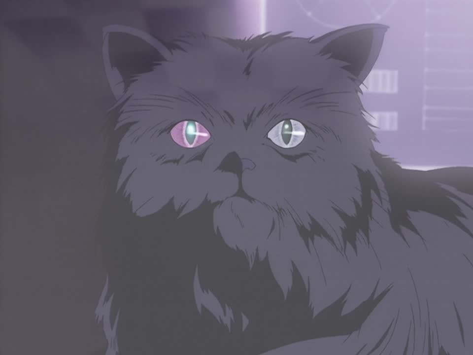 The most evil creature there is. (Credit: Wowow)