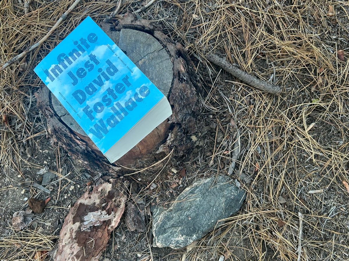 Episodes Book Club: Infinite Jest, Week One