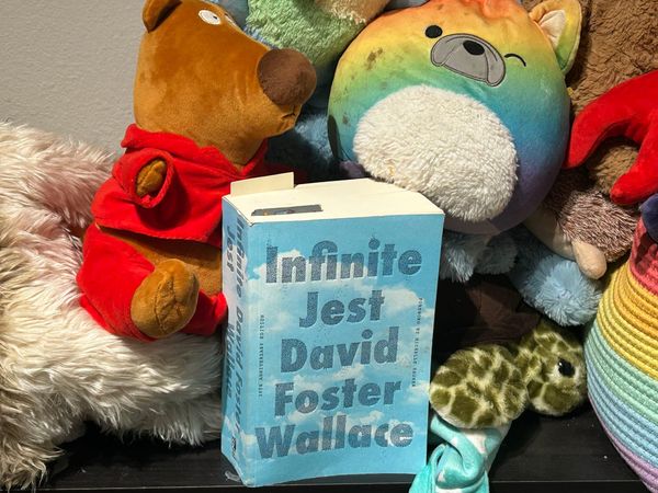 Infinite Jest, surrounded by a child's stuffed animals