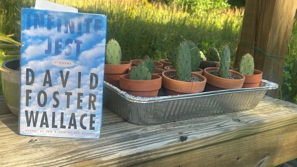 A copy of Infinite Jest sits next to a metal tray full of cacti in pots