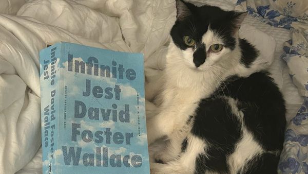 A paperback copy of David Foster Wallace's Infinite Jest lays on a bed next to a white comforter and a black and white cat.