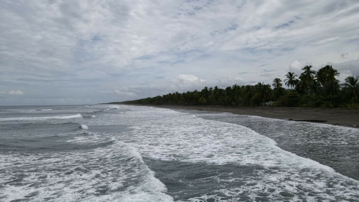 Palo Seco Beach: Costa Rica's Secluded Coastal Gem
