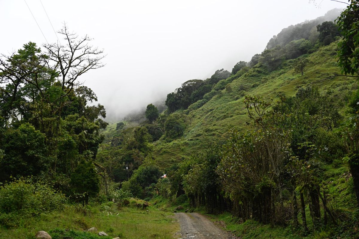 Our 2021 Trip to San Gerardo de Dota, Costa Rica: A Stay at Cabinas San Gerardo