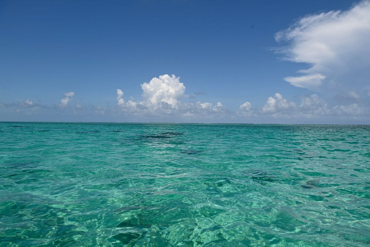 Guide to Snorkeling and Diving in Belize