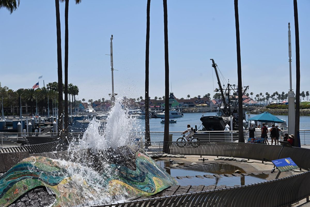 Discover Nearby Attractions and Activities at the Aquarium of the Pacific