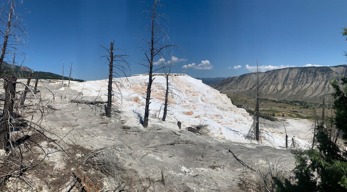 Must-See Attractions: Nature’s Masterpieces at Yellowstone National Park