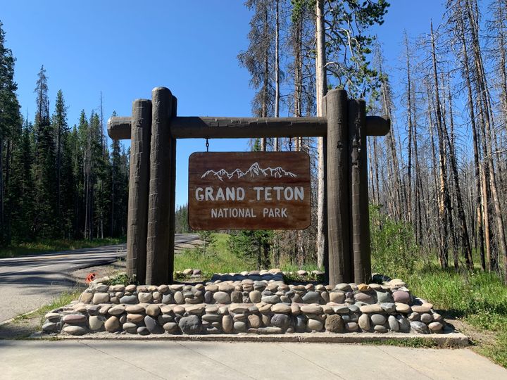 A wooden sign marking the entrance to Grand Teton National Park, surrounded by tall trees and a clear blue sky