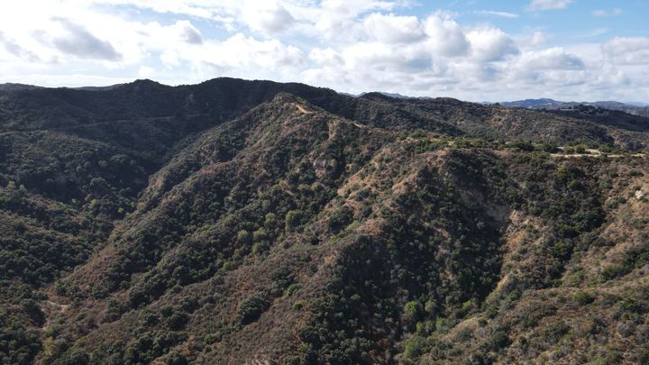 Caballero Canyon Trail: A Scenic Escape in the Heart of Los Angeles