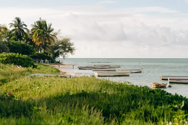 🇲🇺 The road ahead