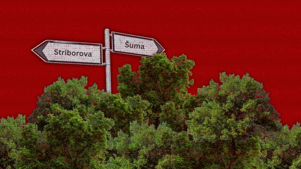 F-zin #34: Jezičina na vagi