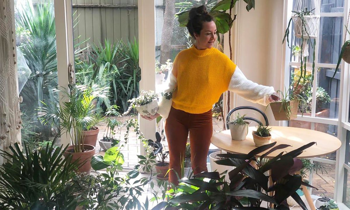 What's happening in pop culture right now?