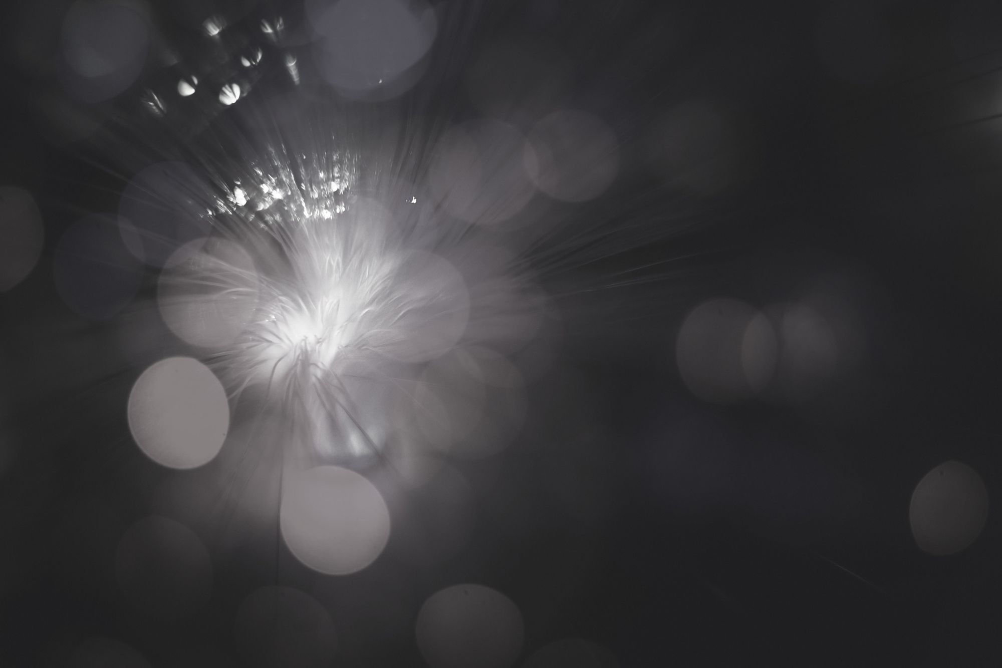 How to build a successful digital business