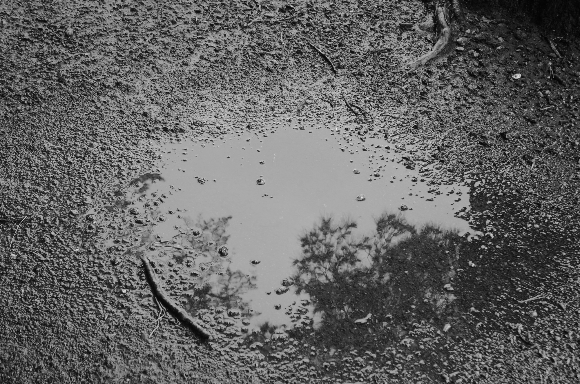 Questioning questions