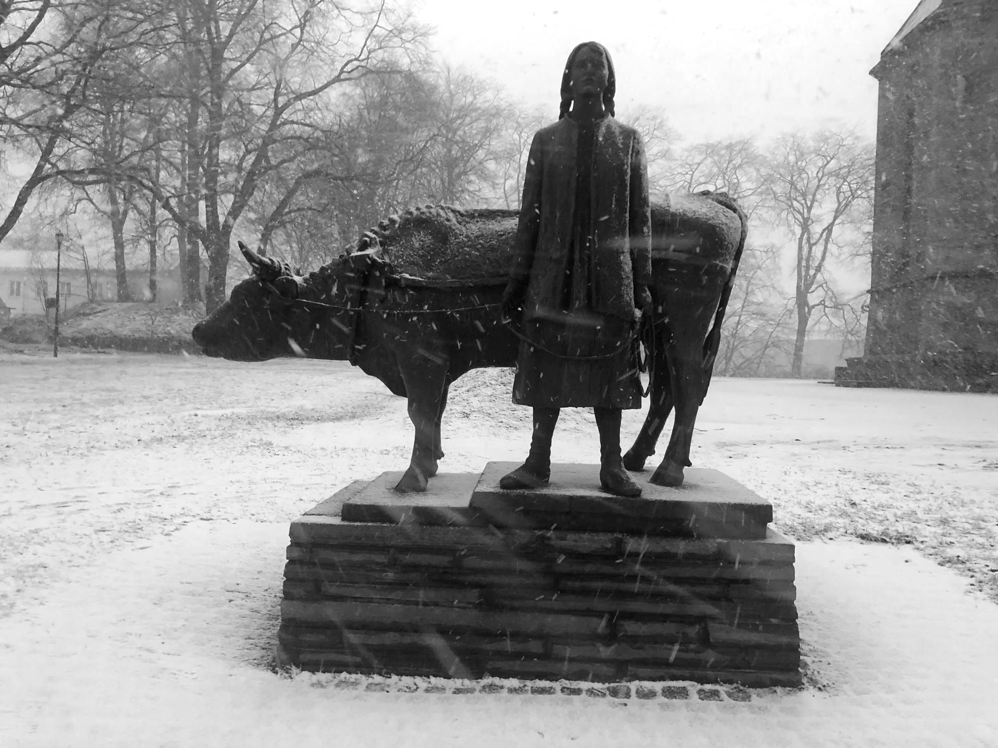 Analogies, adages and markets