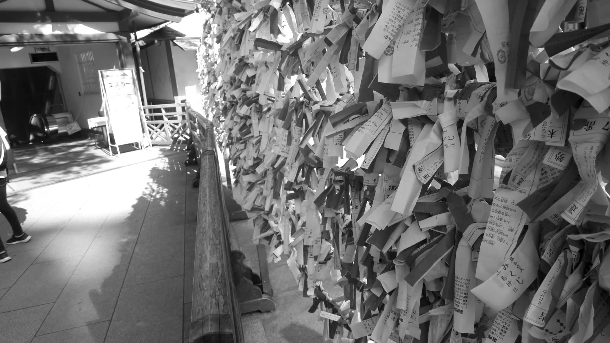 OZCF Market | Soulful retail