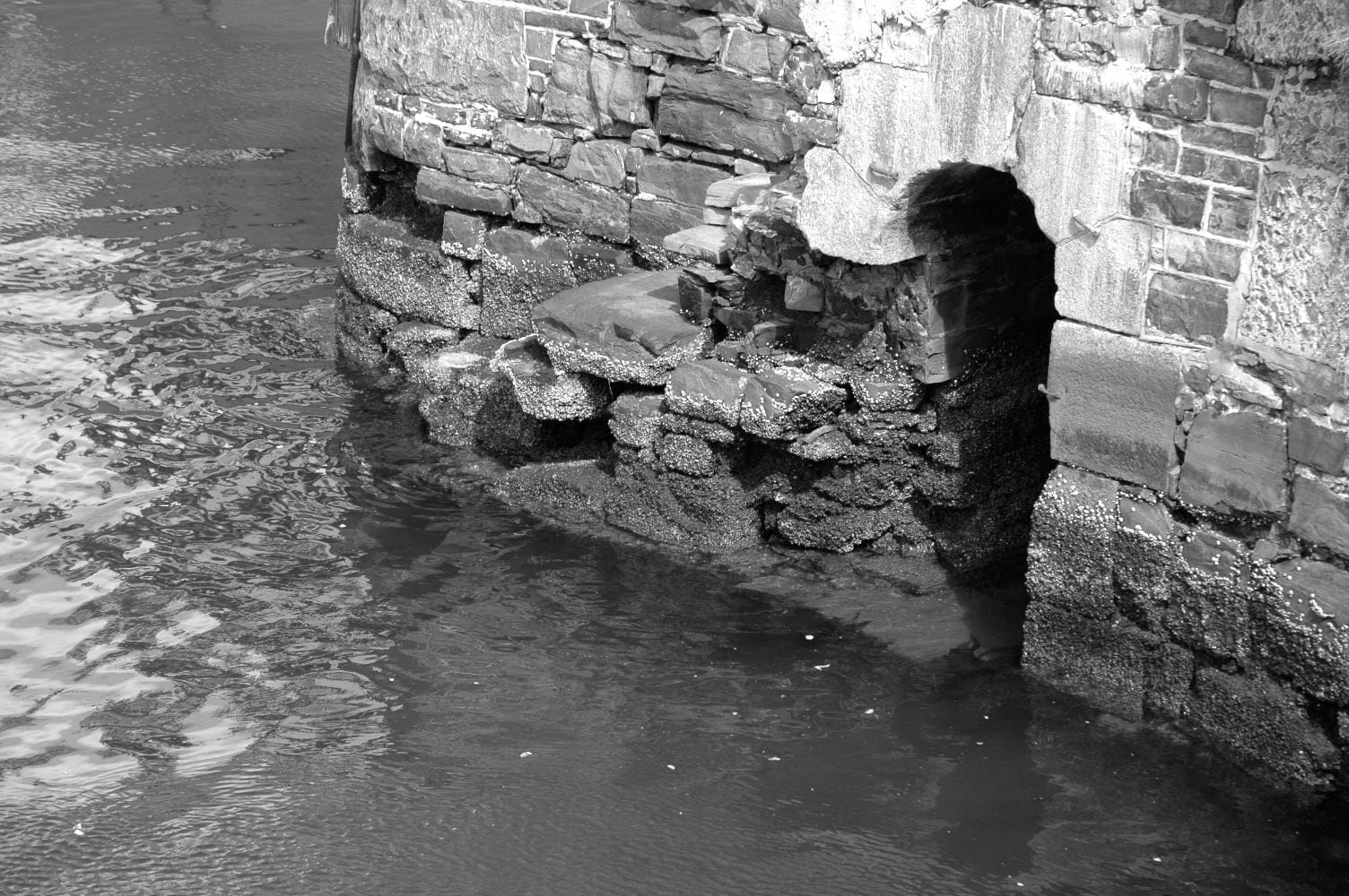 Dolly Parton was also a great moat builder