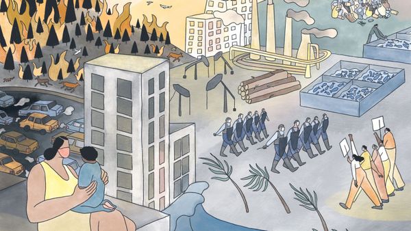 Patagonia: A letter from the future