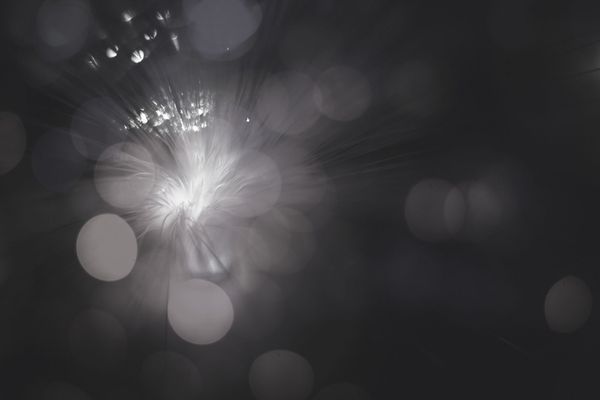 How to build a successful digital business