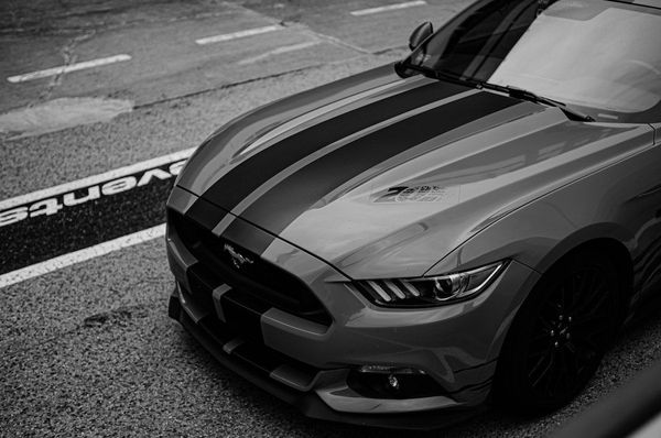 Ford and Meta have very different perspectives on the future