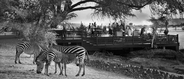 The magic of the bosberaad