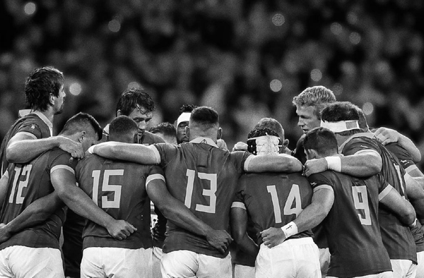 How the Springboks became a great brand