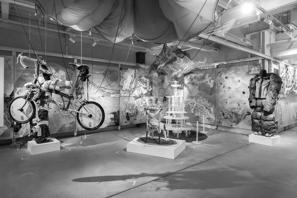 ANTA Sports opens a 'zero carbon' store