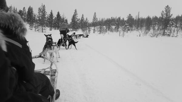 You too are 'an influencer'