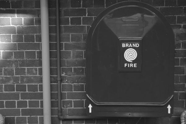 Strong brand building, means strong business building