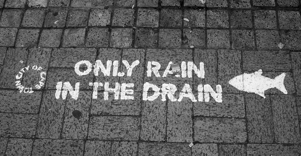 Only rain in the drain