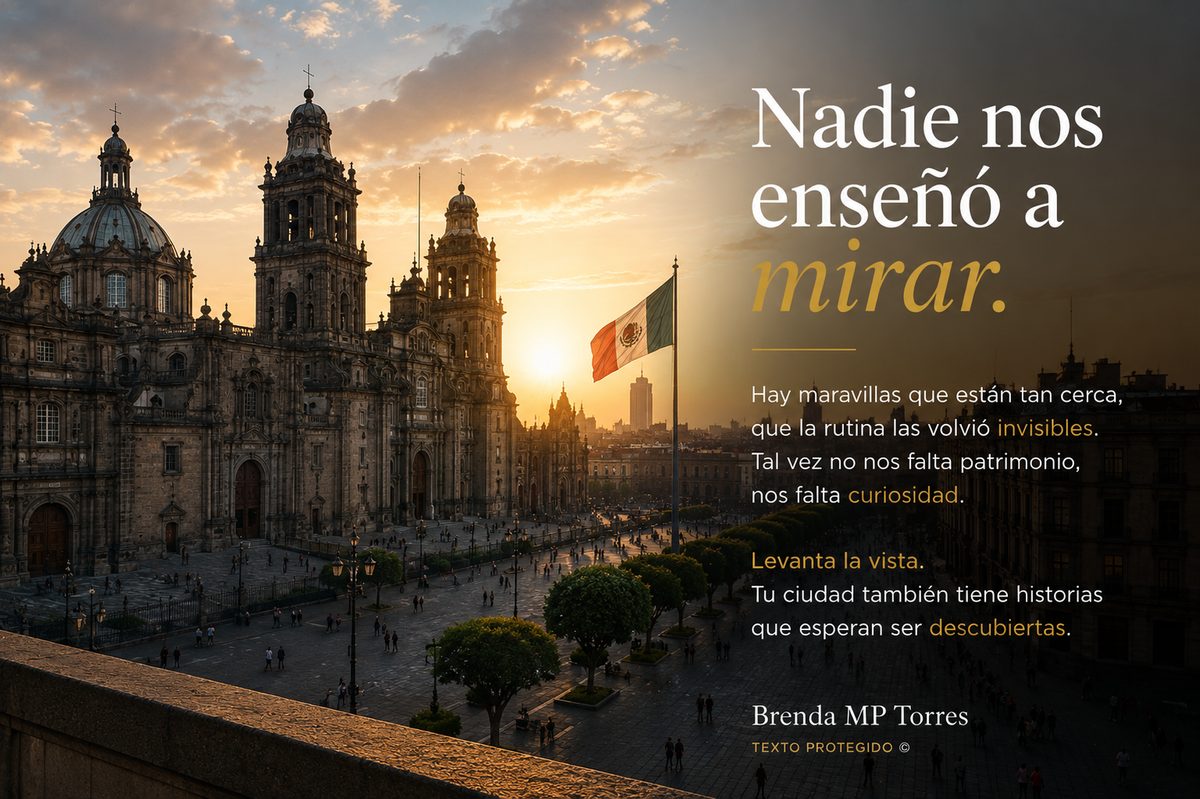 Nadie nos enseñó a mirar