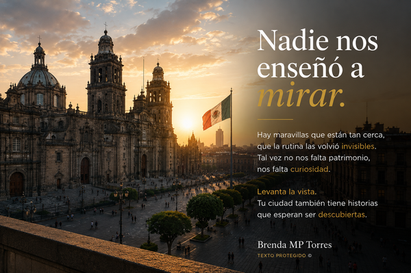 Nadie nos enseñó a mirar