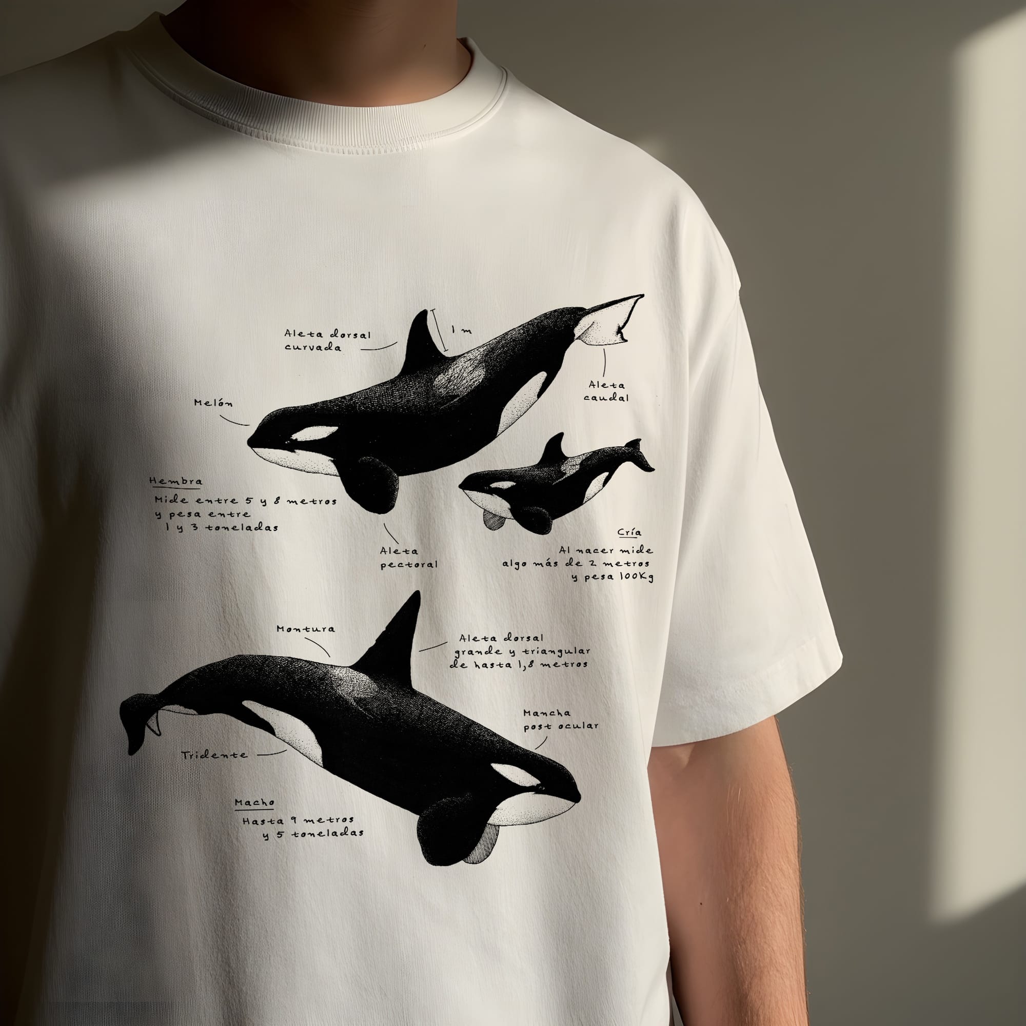 Una remera, una comunidad.