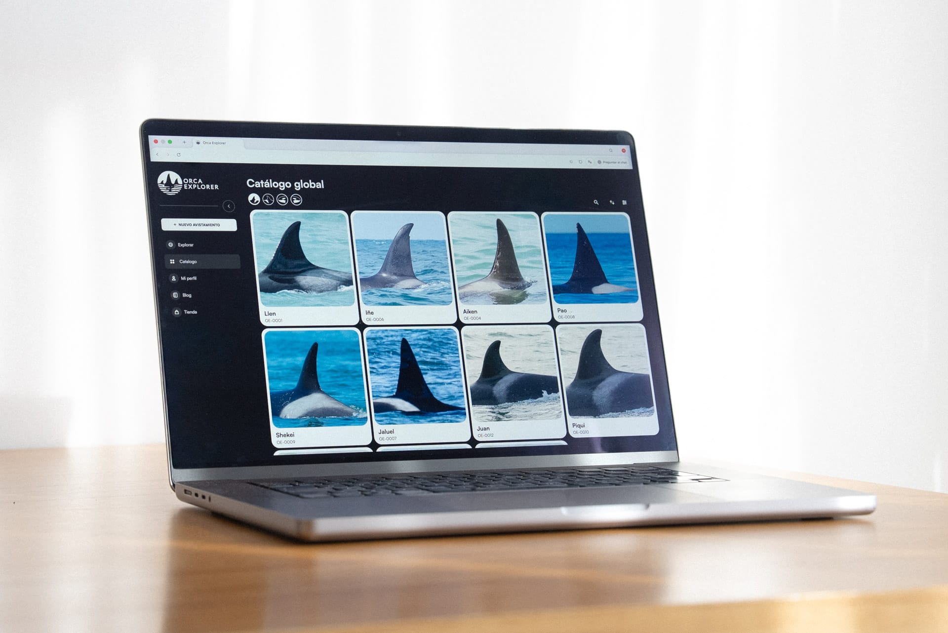 Cuándo crear un perfil nuevo en el catálogo de orcas