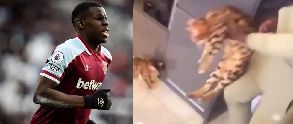 Kurt Zouma ostro przeskrobał. Wyciekł film, na którym widać, jak znęca się nad kotem [WIDEO] Zdjęcie główne wpisu