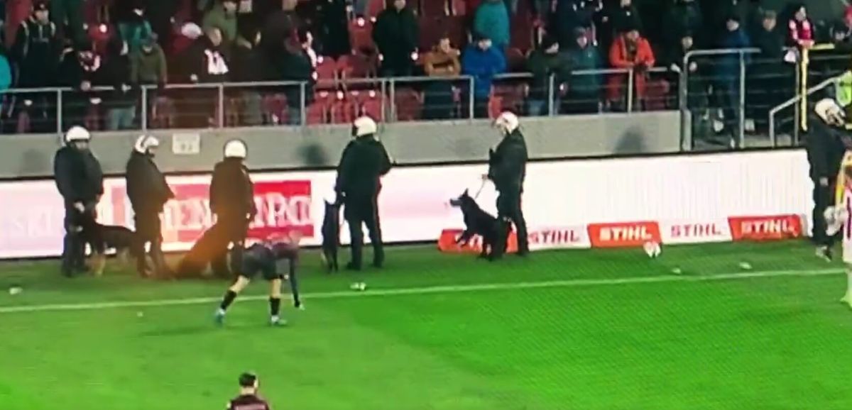 Komiczna sytuacja podczas meczu w Krakowie. Psy przy linii bocznej [WIDEO] Zdjęcie główne wpisu