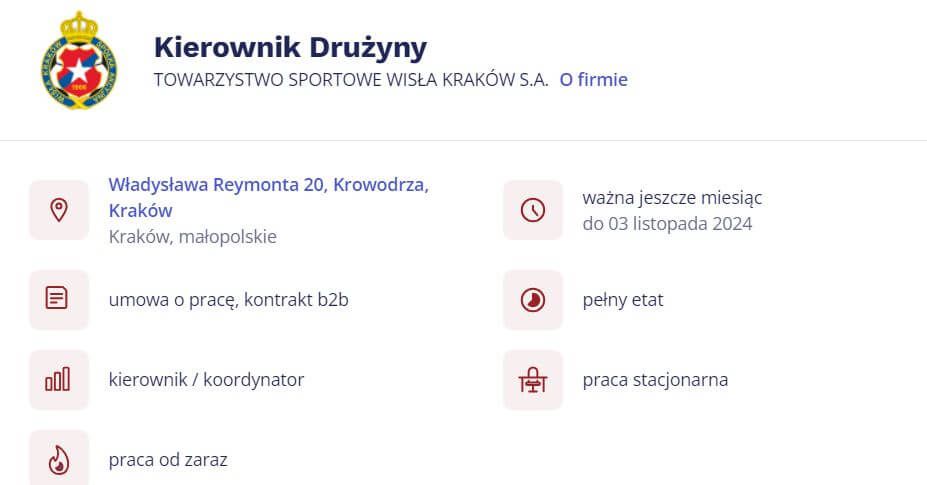 Wisła Kraków szuka Kierownika Drużyny. Klub zamieścił ofertę pracy na portalu z ogłoszeniami pracy Zdjęcie główne wpisu