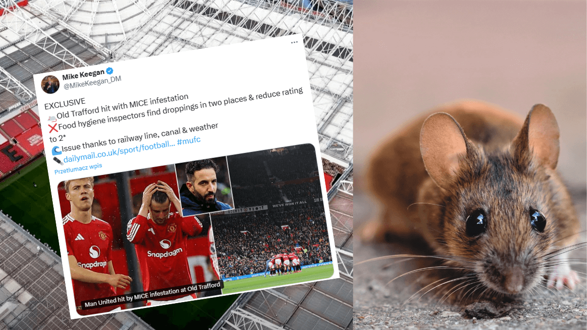 Manchester United pod lupą inspektorów higieny. Na Old Trafford znaleziono gryzonie! Zdjęcie główne wpisu