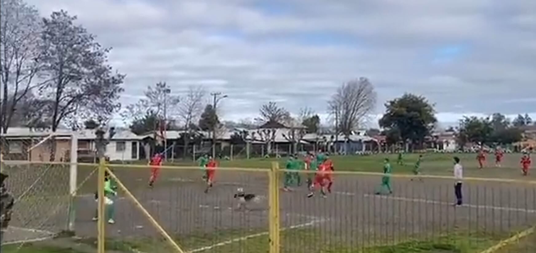 Bezpański pies strzelił gola podczas meczu w Chile. Co za wykończenie! [WIDEO] Obraz wpisu