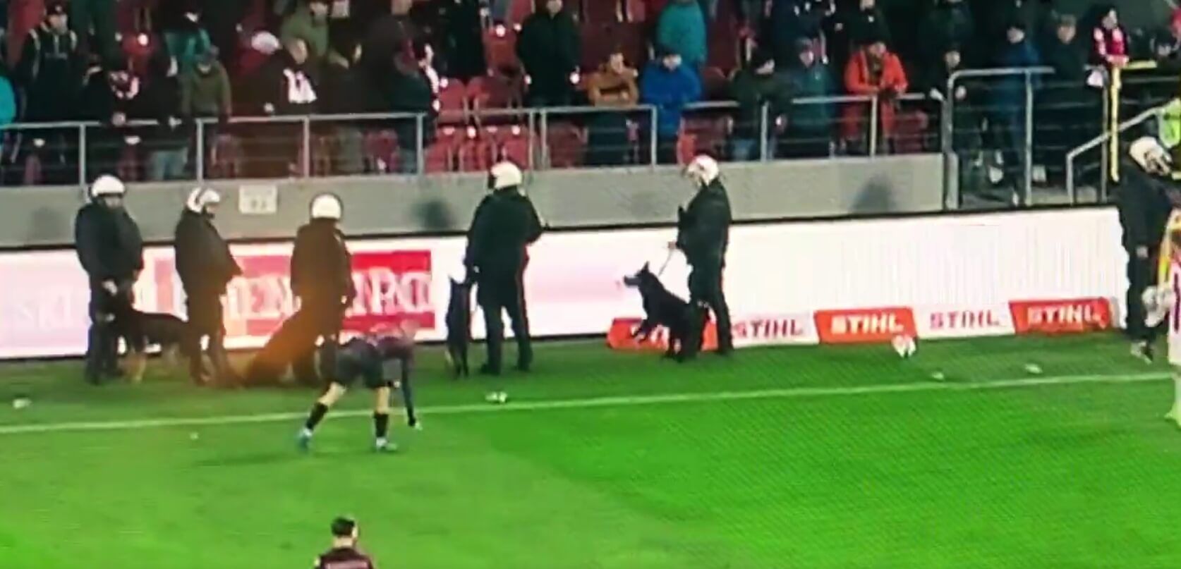 Komiczna sytuacja podczas meczu w Krakowie. Psy przy linii bocznej [WIDEO] Obraz wpisu